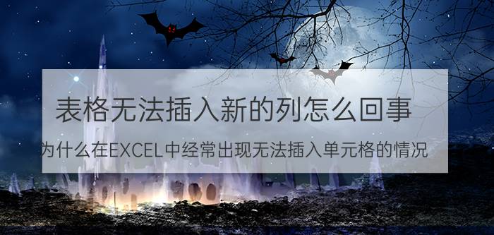 表格无法插入新的列怎么回事 为什么在EXCEL中经常出现无法插入单元格的情况？